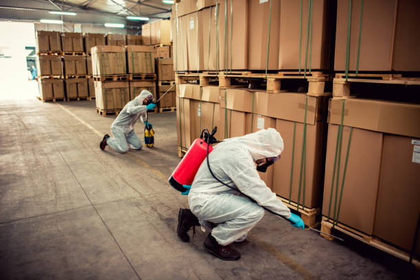 Best Best Pest Control Companies  in Berrien Springs, MI