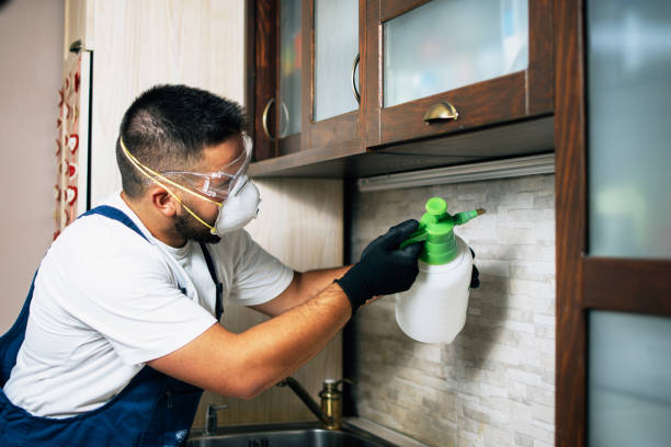  Berrien Springs, MI Pest Control Pros