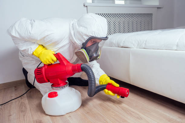 Best Ant Control Services  in Berrien Springs, MI