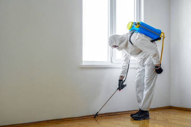 Best Pest Control Near Me in Berrien Springs, MI