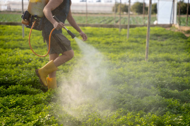 Best Exterminator Services  in Berrien Springs, MI
