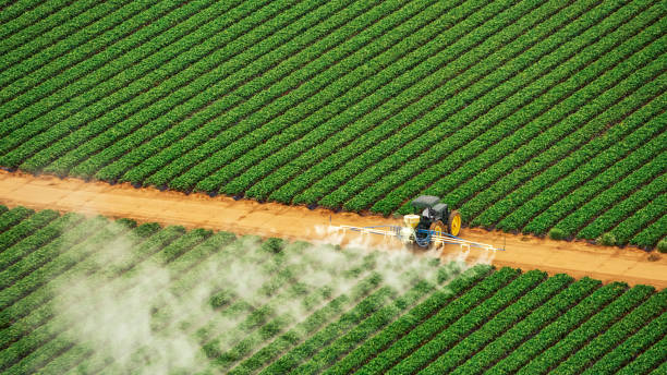 Best Commercial Pest Control Services  in Berrien Springs, MI