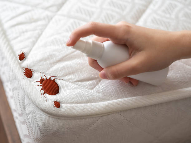 Best Cockroach Control Services  in Berrien Springs, MI