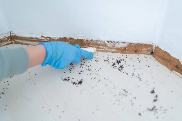 Best Pest Inspection Near Me  in Berrien Springs, MI