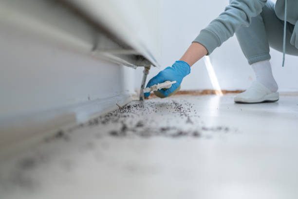 Reliable Berrien Springs, MI Pest Control Solutions